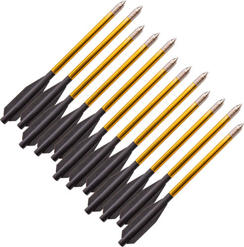 Bear-X 12PK Desire Crossbow Bolt Set