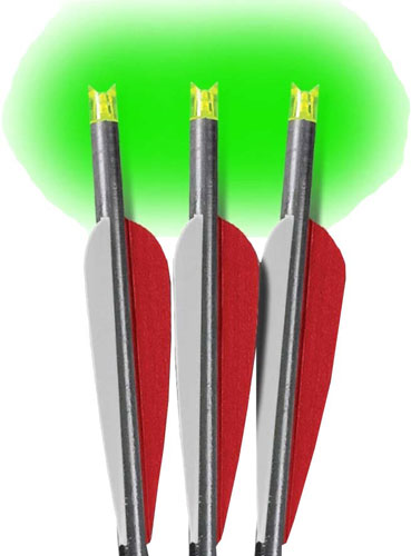 Lumenok Xbow 22" Barnett Headhunter Green Lighted Crescent Arrow 3-Pack