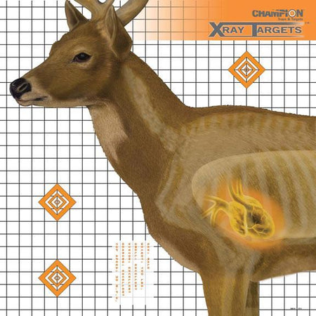 Champion X-Ray Deer Paper Shooting Target 25"x25" Pack of 6