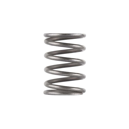 Dead Air Booster Piston Spring - Ghost Odessa Mojave 9 Replacement