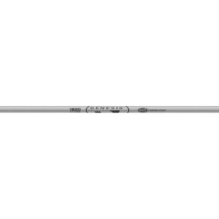 Easton Genesis Arrow Shafts Silver 1820 (1 Doz.)