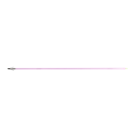 Muzzy Sabre Illuminated Bowfishing Arrow with Carp Point