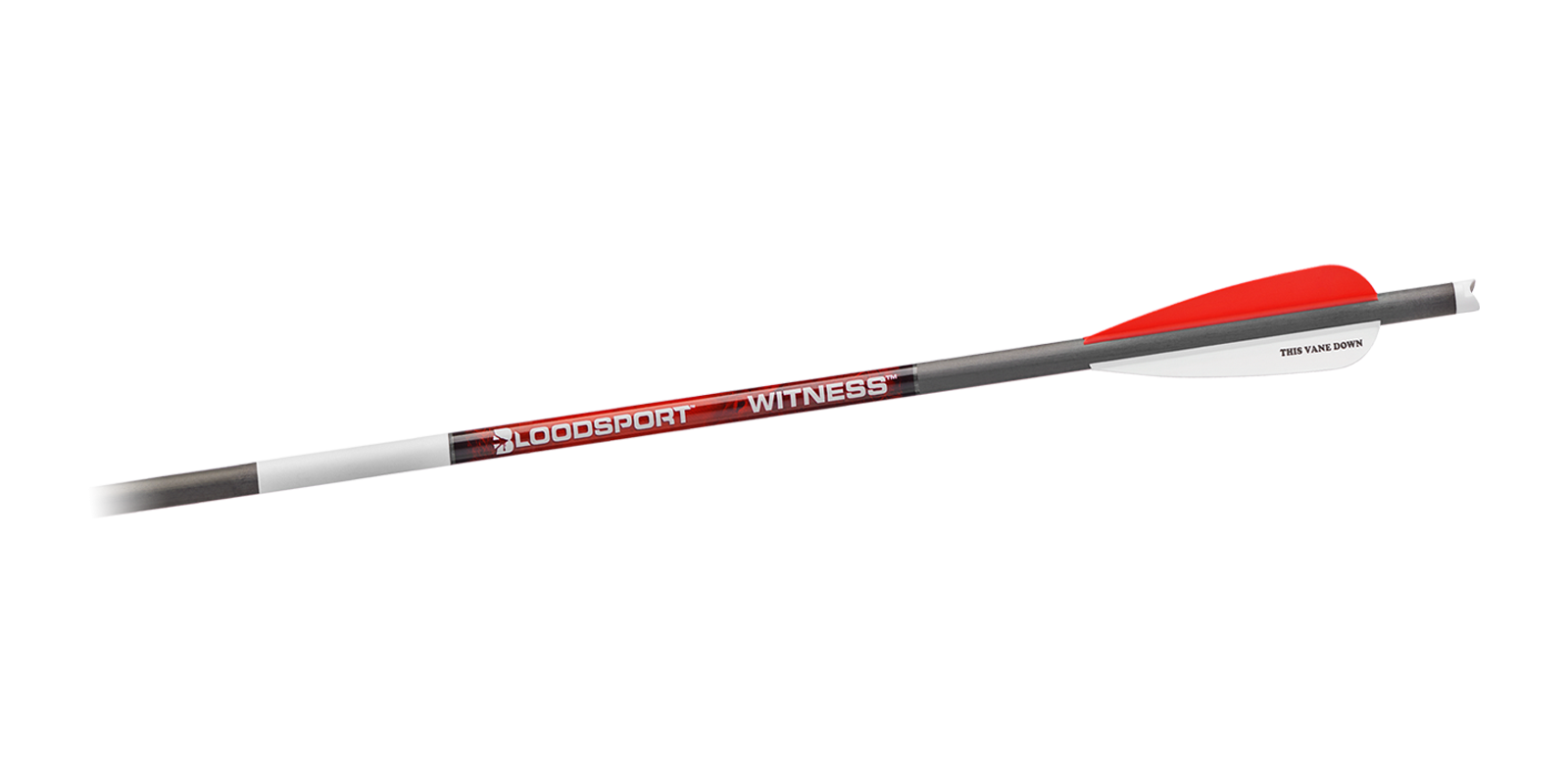 Bloodsport Witness Crossbow Arrows 20 Inch 300 Spine - 6 Pack