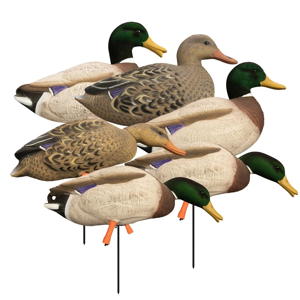 Higdon Outdoors Magnum Full Body Standing Mallard Decoys Flocked Heads 6 Pack