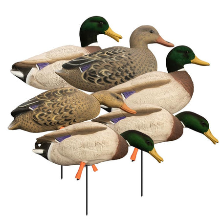 Higdon Outdoors Magnum Full Body Standing Mallard Decoys Flocked Heads 6 Pack
