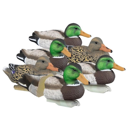 Higdon Standard Mallard Foam Filled Decoys 6 Pack XHD Hyper-Feathering