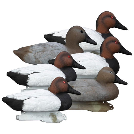 Higdon Standard Canvasback Foam Filled Duck Decoys 6 Pack