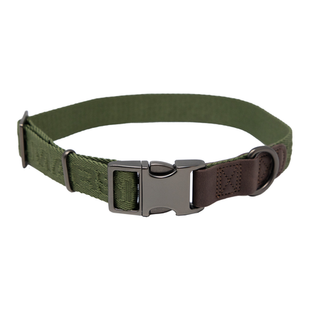 MoMarsh Dog Collar Adjustable 15 to 23 Inch Cypress Green
