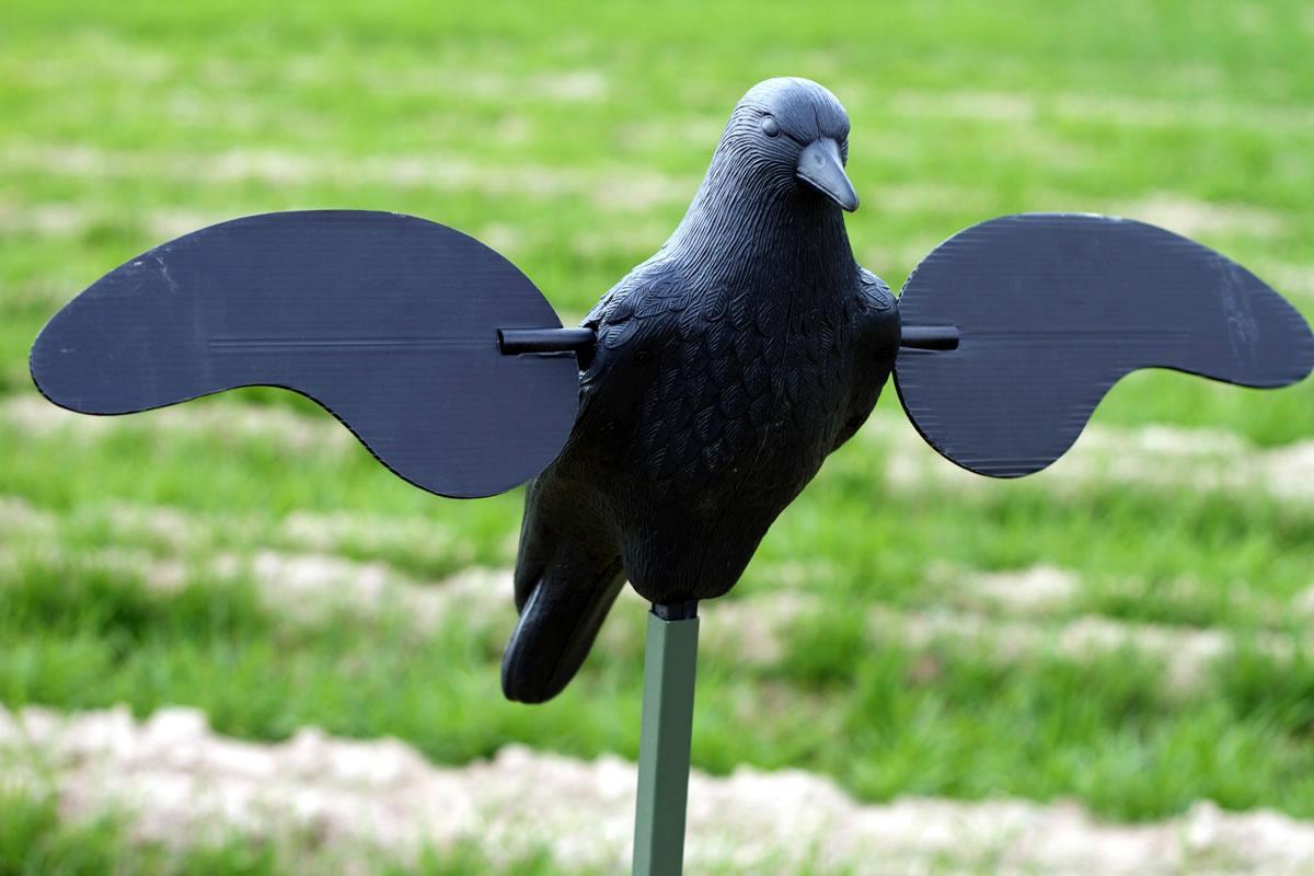 MOJO Crow Motion Decoy Battery Operated with Magnetic Wings