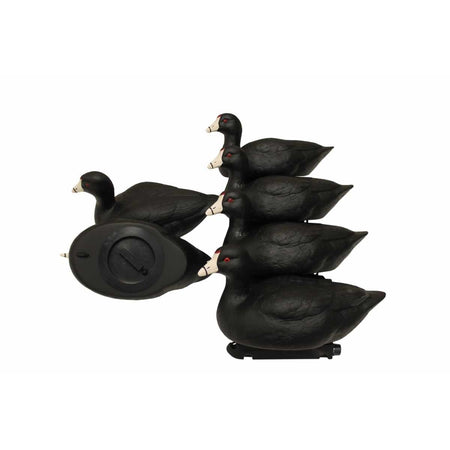MOJO Coot 6ct Confidence Duck Decoy Set with Motion Ripplers