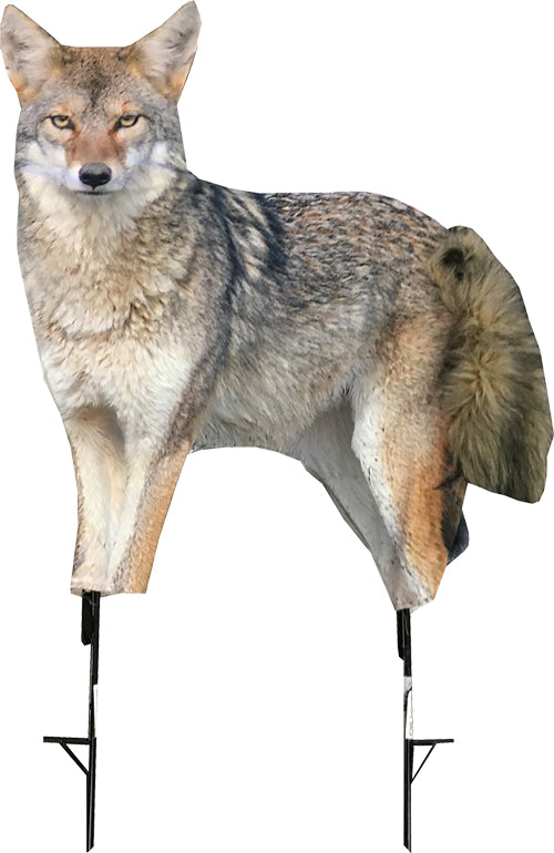 Montana Decoy Coyote Song Dog Predator Hunting Decoy