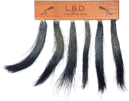 Pittman Game Calls Multi Turkey Beard Mount Long Beard Down