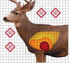 Pro-Shot Mule Deer Life-Size Sight-In Paper Target 25x25" 5/pk