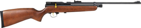 Beeman QB78D .22 Cal CO2 Single-Shot Pellet Air Rifle 500 FPS