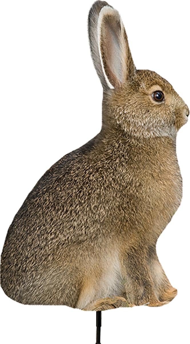 Montana Decoy Miss Hoptober Life-Like Rabbit Decoy