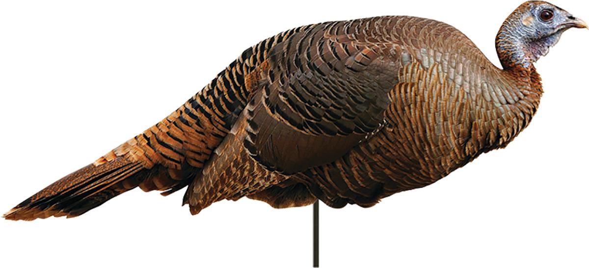 Montana Decoy Co Spring Fling Hen Turkey Hunting Decoy