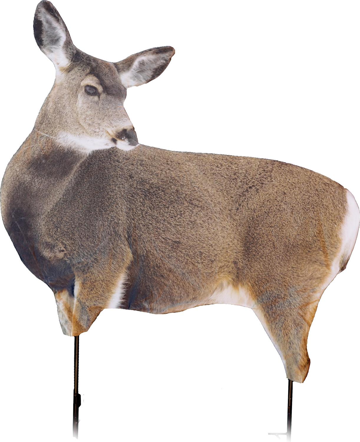 Montana Decoy Miss Muley Mule Deer Hunting Decoy