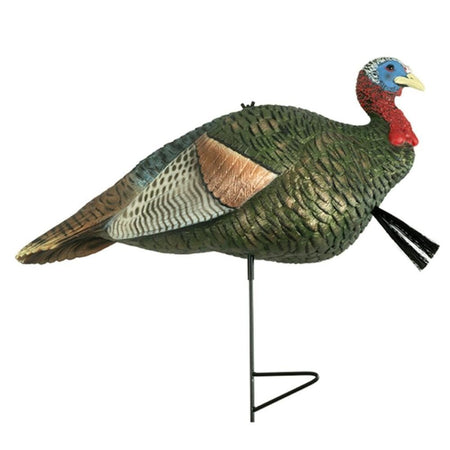 The Grind Half Strut Jake Realistic Turkey Decoy