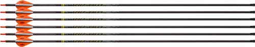 Victory RIP TKO Elite 400 Spine Fletched Archery Arrows 6 Pack
