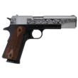 SDS Imports Tisas "Two Tone Filigree Stainless" 1911 A1 Service 45 Handgun .45 ACP 8rd Magazine 5" Barrel