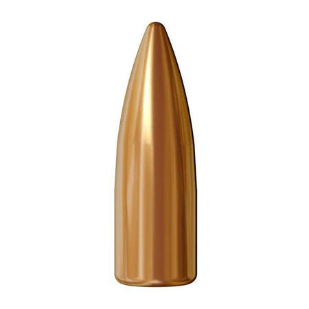 Atlanta Arms .224 Caliber 55 Grain FMJ Projectile Bullets 250/ct