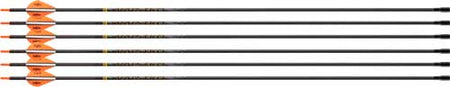 Victory VAP TKO Elite 400 Spine Fletched Archery Arrows 6 Pack