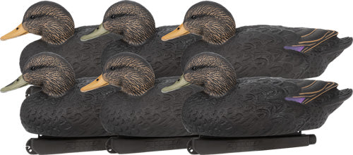 Zink 6-Pack Black Duck Floating Decoys