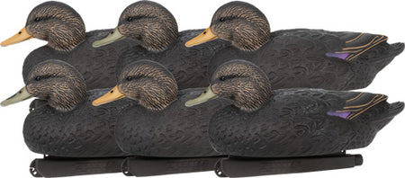 Zink 6-Pack Black Duck Floating Decoys