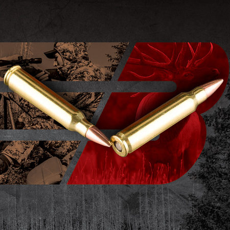 Barnes .223 Remington Centerfire 55 grain Hollow Point Boat Tail ammunition