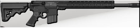 ROCK RVR ARMS 450 BUSH RFL 20" CHRM