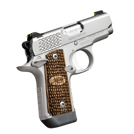 KIMBER MICRO RAPTOR 380ACP PSTL STS