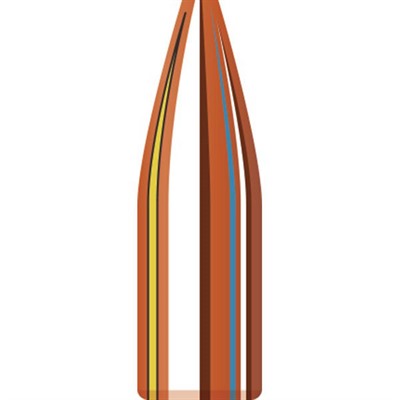 22 Cal 0.224" Match Hollow Point Bullets