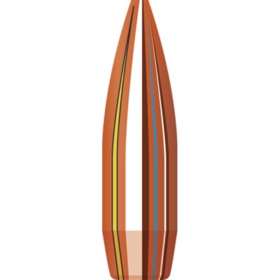 22 Cal 0.224" Hollow Point Boat Tail Bullets