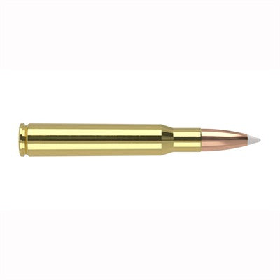 Nosler Trophy Grade Nosler AccuBond 180 Grain .30-06 Springfield 2750 fps 054041461344