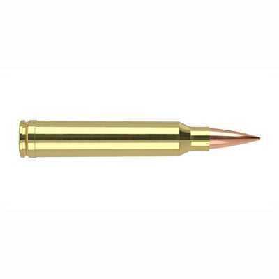 Nosler .300 WSM Trophy Grade 190 grain Nosler Spitzer AccuBond Long Range ammunition