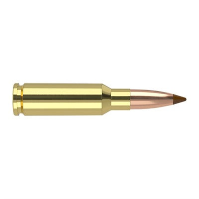 Nosler 6.5mm Grendel Ballistic Tip 120 grain SP ammunition
