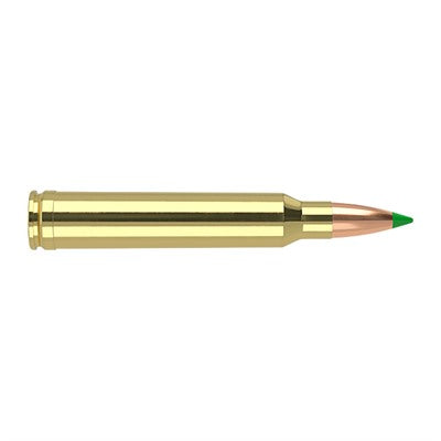 Nosler .300 Winchester Mag Hunting 180 grain Spitzer Ballistic Tip ammunition