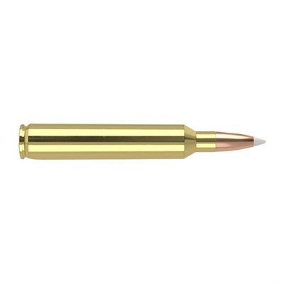 Nosler 7mm RUM Trophy Grade 160 grain Nosler Spitzer Partition ammunition