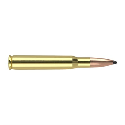 Nosler Trophy Grade Partition 165 Grain .30-06 Springfield  054041610186