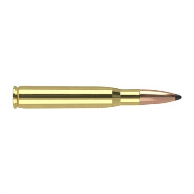 Nosler Trophy Grade Partition 180 Grain .30-06 Springfield  054041461429