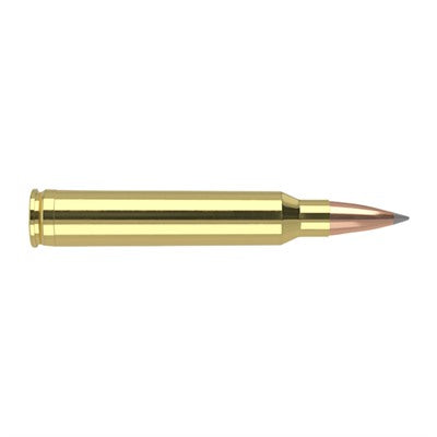 Nosler Trophy Grade Nosler Spitzer AccuBond Long Range 190 Grain .300 Winchester Mag 2870 fps 054041601269