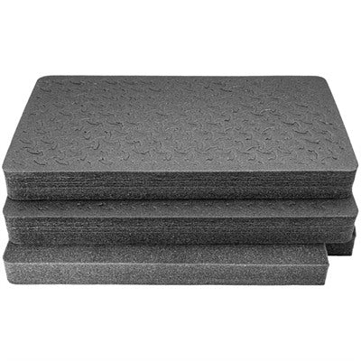 Carry-On Case RAGAR Crosslink Foam Insert 19.75x11.75