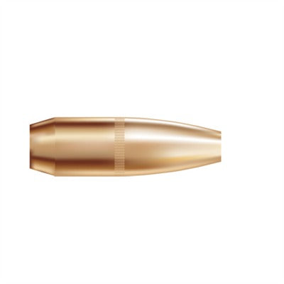 Nosler AccuBond Hunting Bullets