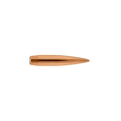 Long Range Hybrid Target Bullets 22 Caliber