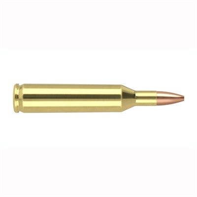 Nosler .17 Remington Varmageddon 20 grain Flat Base Hollow Point ammunition