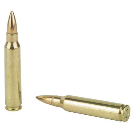 PMC Bronze High-Performance .223 Remington 55gr Full Metal Jacket Boat Tail (FMJBT)