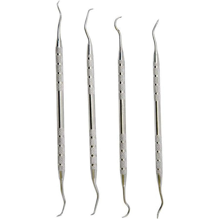 Tipton Stainless Steel Cleaning Picks Set of 4
